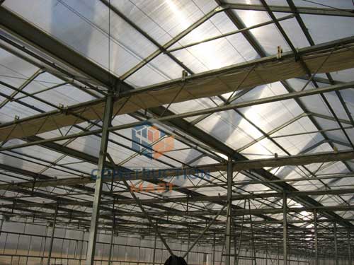 Greenhouse using ConstructionMart anti-fog polycarbonate sheet for commercial vegetable production