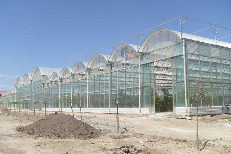 Engineering drawing of a large glass greenhouse roofed with polycarbonate sheets for agricultural use
